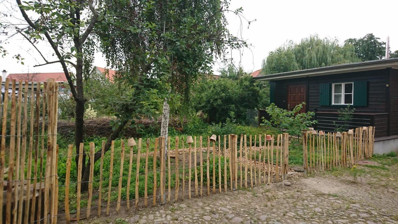 Huette Mit Herz Im Harz Apartment Meisdorf ภายนอก รูปภาพ