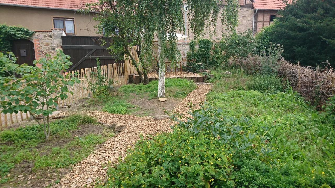 Huette Mit Herz Im Harz Apartment Meisdorf ภายนอก รูปภาพ