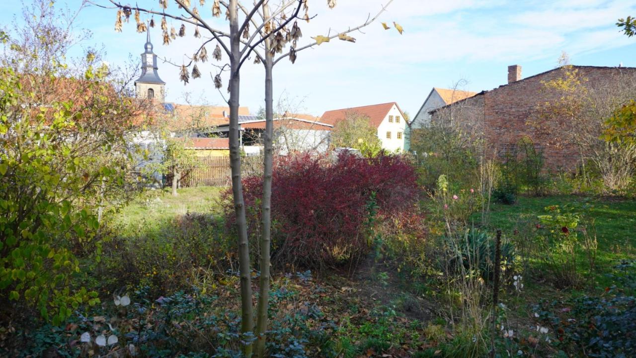 Huette Mit Herz Im Harz Apartment Meisdorf ภายนอก รูปภาพ